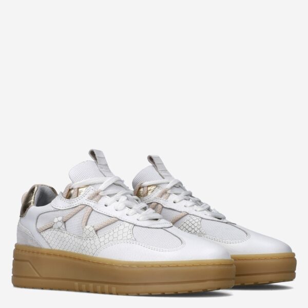 Anemone White - Afbeelding 4