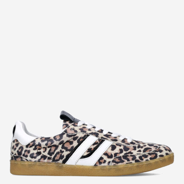 Polaro Leopard