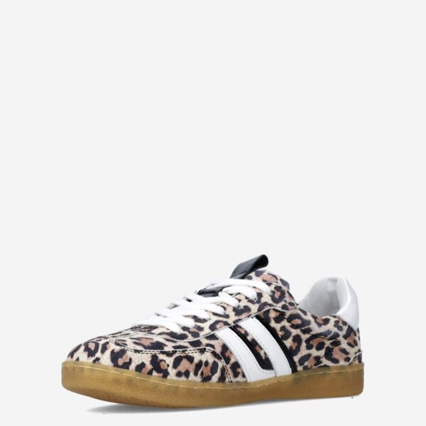 Polaro Leopard - Afbeelding 3