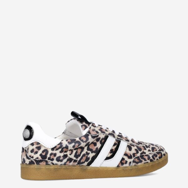 Polaro Leopard - Afbeelding 2