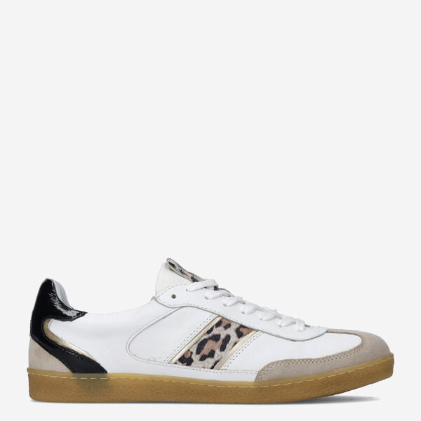 Polaro Beige