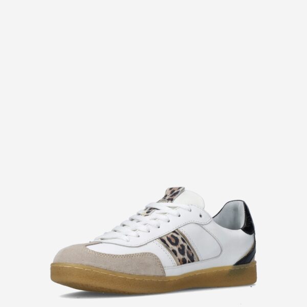 Polaro Beige - Afbeelding 3