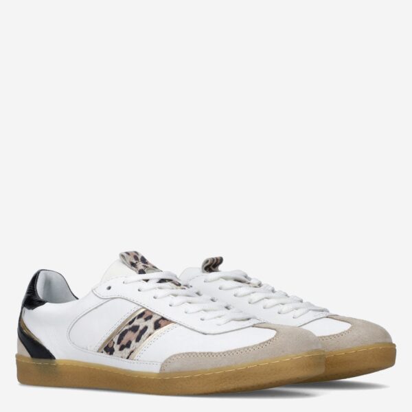 Polaro Beige - Afbeelding 4