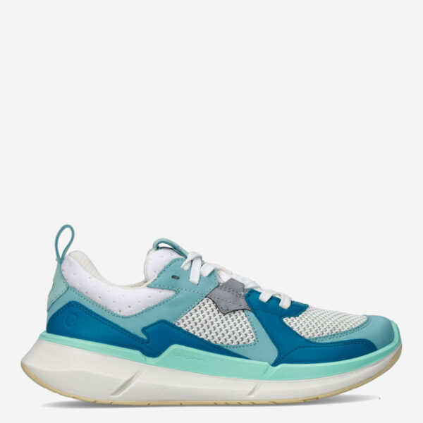 Biom 2.2
