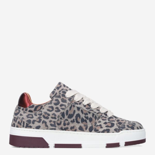 Whitby Leopard