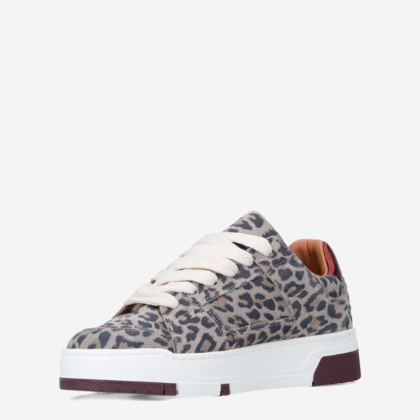 Whitby Leopard - Afbeelding 3