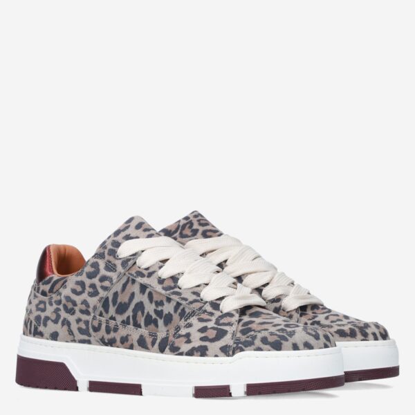 Whitby Leopard - Afbeelding 4