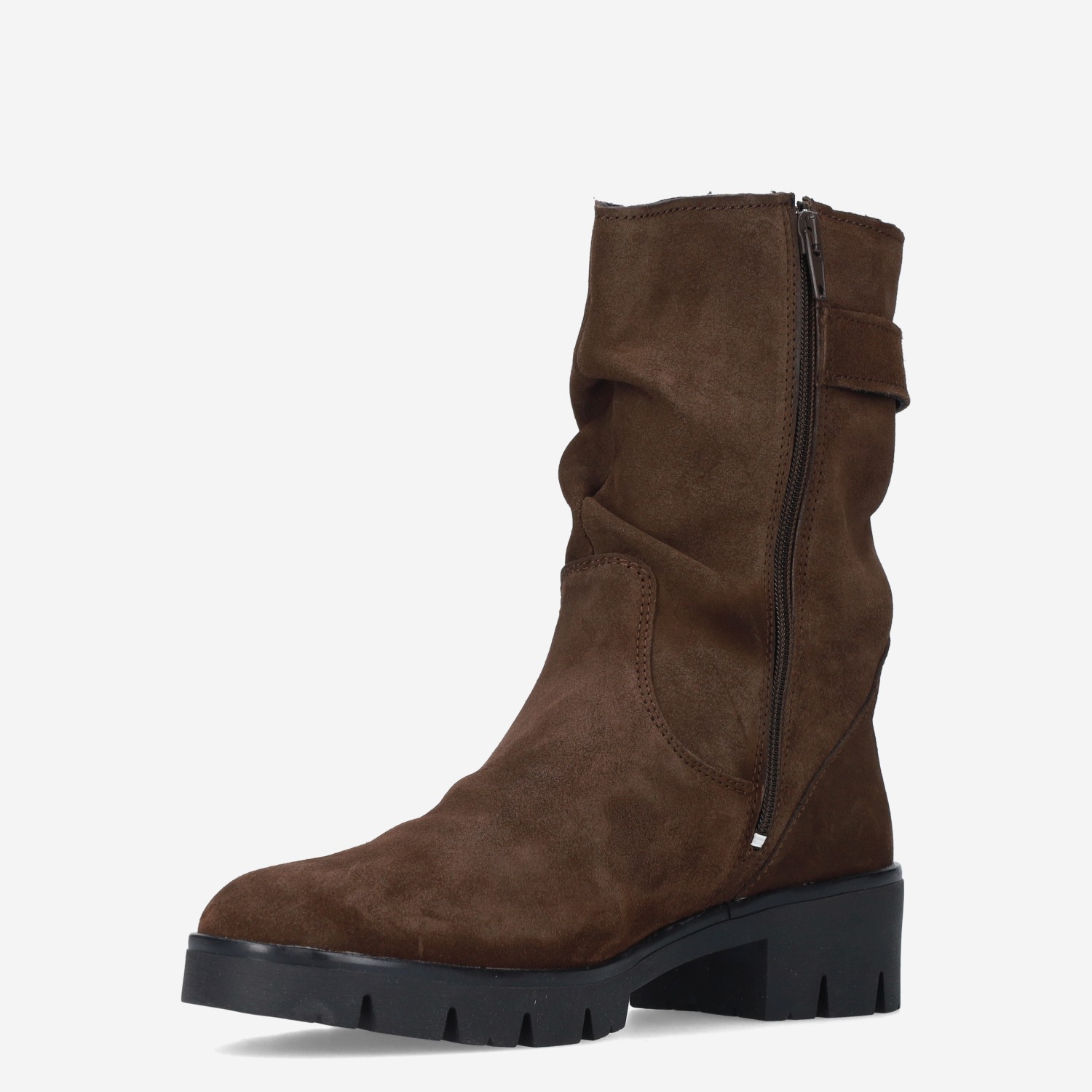 Molly - Afbeelding 3