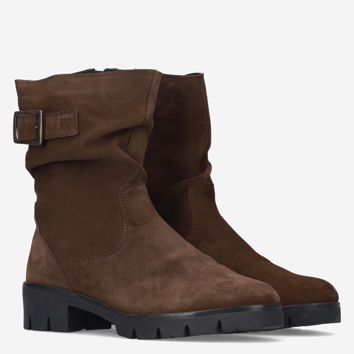 Molly - Afbeelding 4