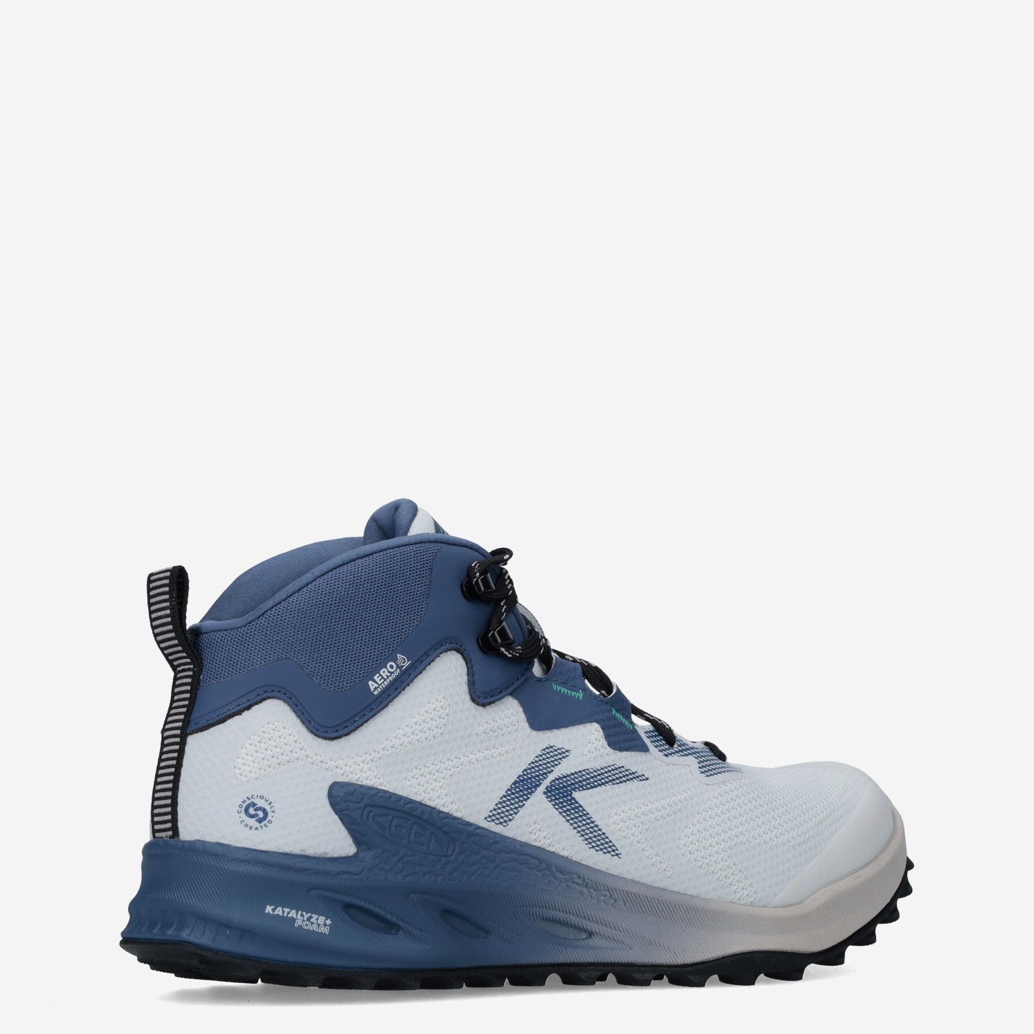 Zionic - Afbeelding 2