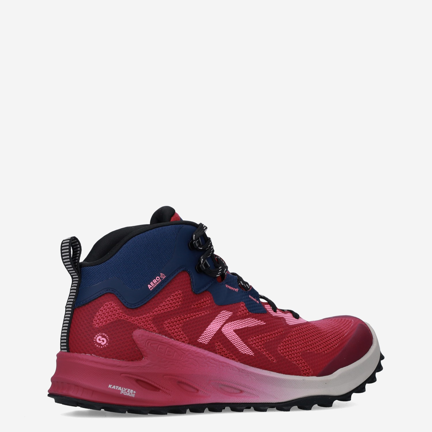 Zionic - Afbeelding 2