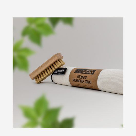 10689 Brush2