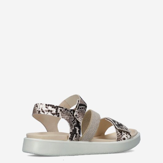 11000_ECCO__Dames_325