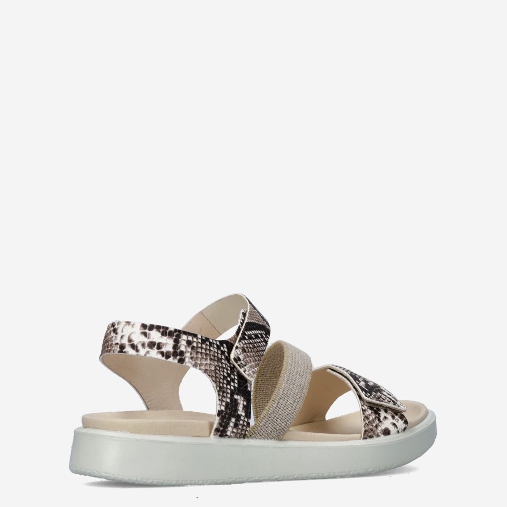 11000_ECCO__Dames_325