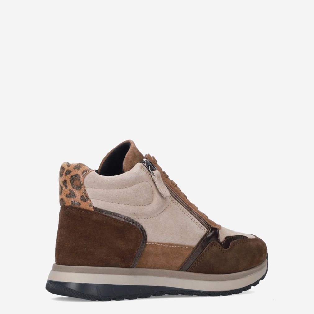 11731_Aco__Dames_325