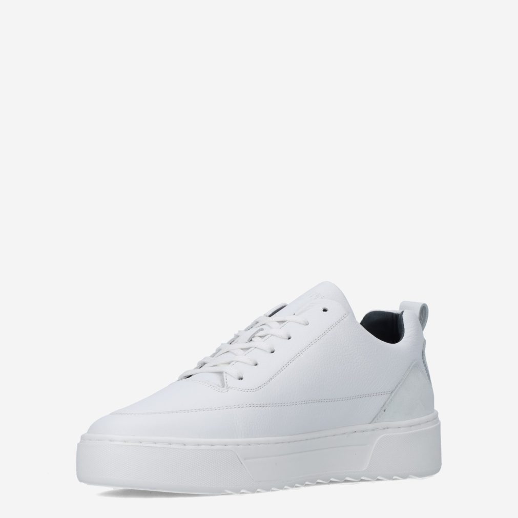 11768_Cycleur de Luxe__Heren_135