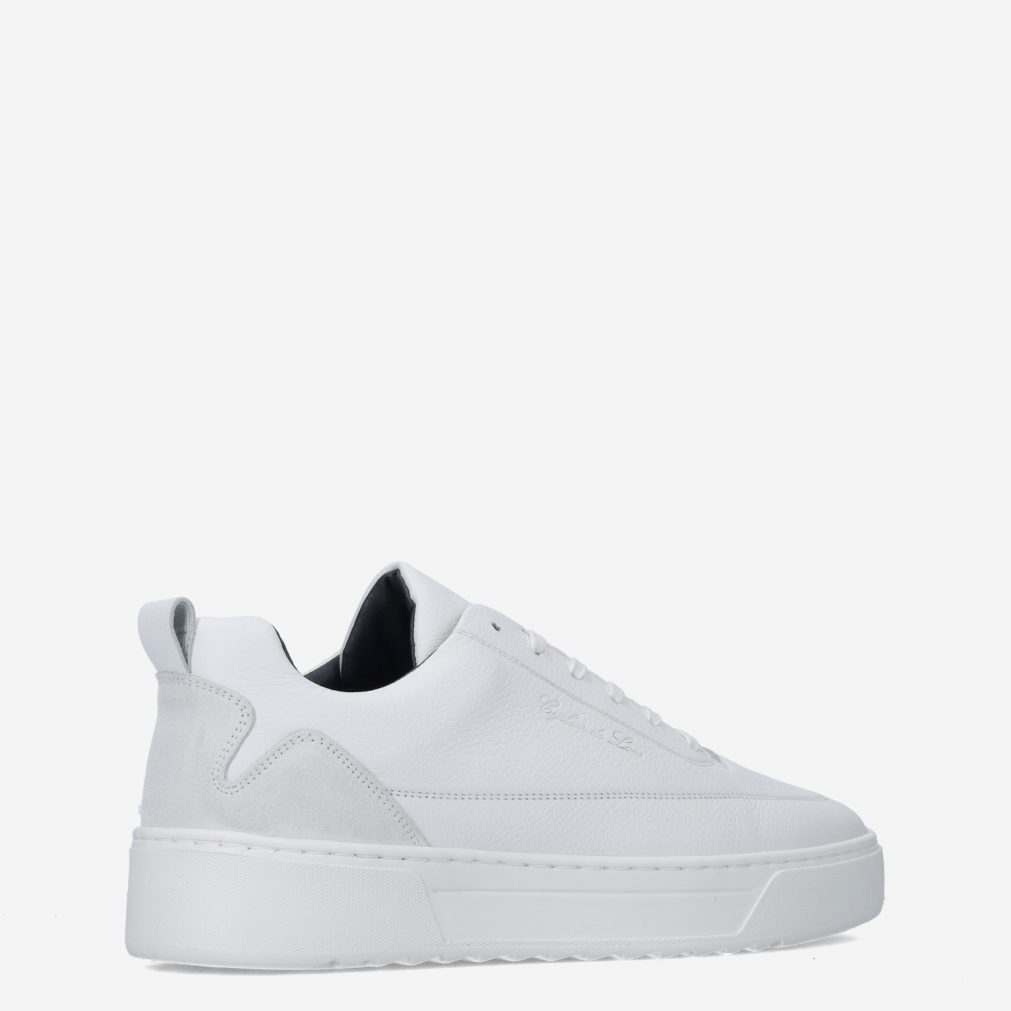 11768_Cycleur de Luxe__Heren_325