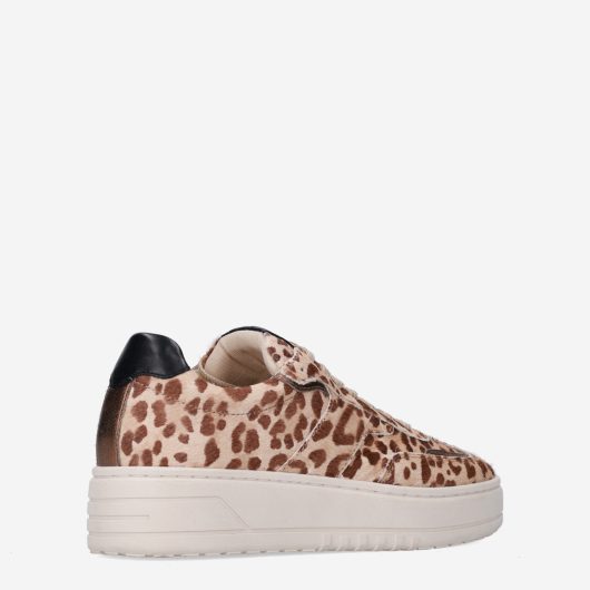 11946_HABOOB__Dames_325