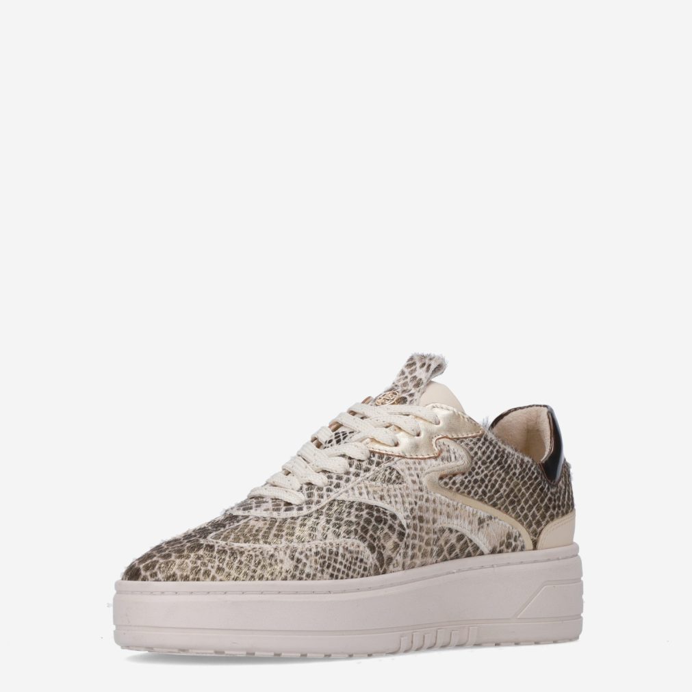 11947_HABOOB__Dames_135