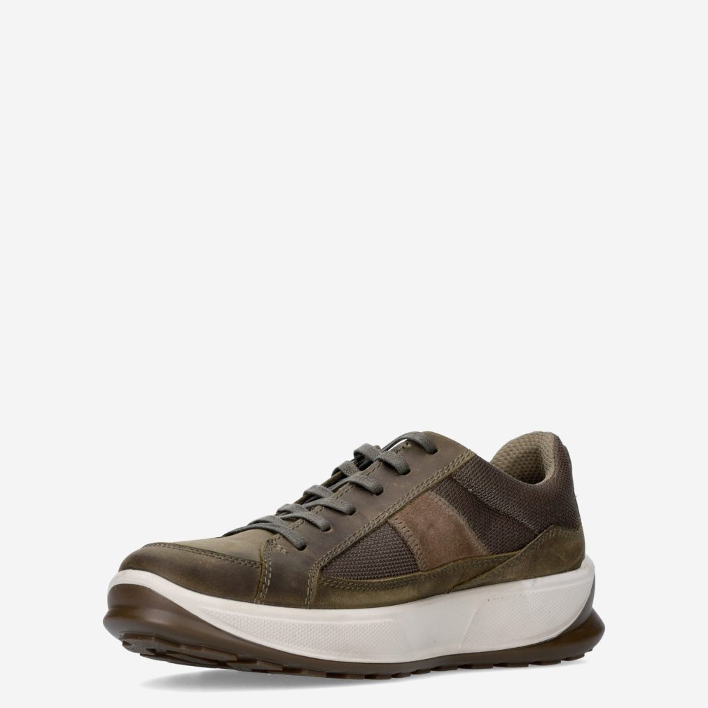 12431_Ecco__Heren_135