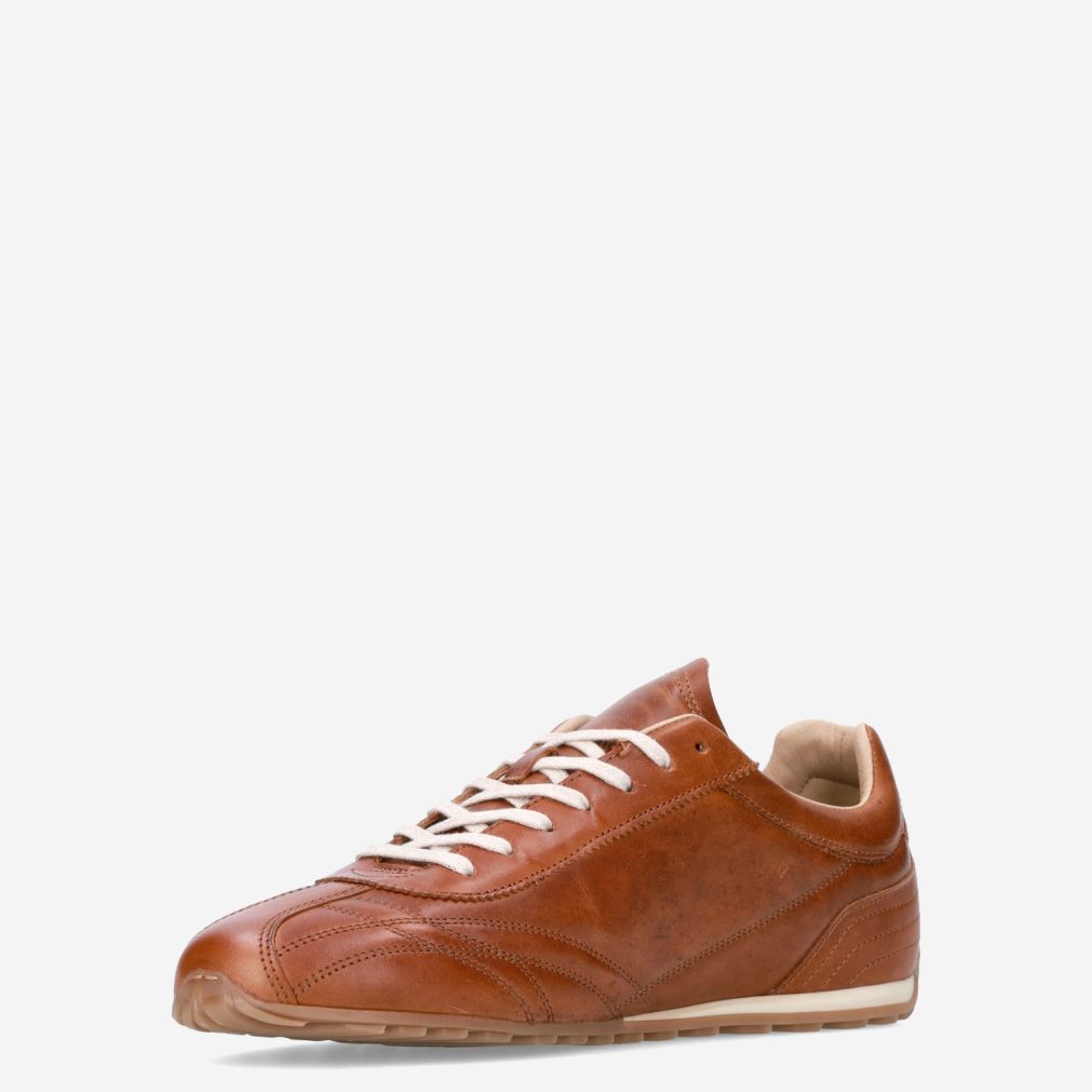 13016_Bull Boxer__Heren_135