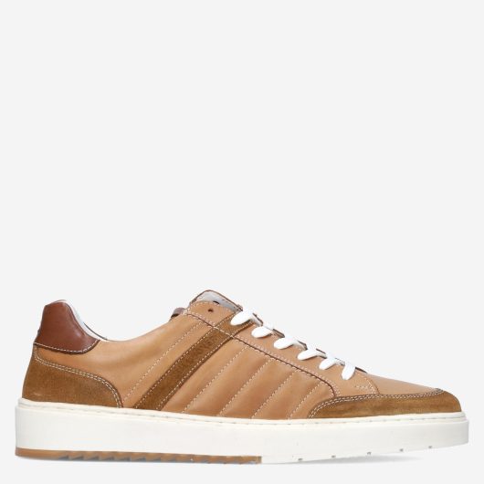 13018_Bull Boxer__Heren_0