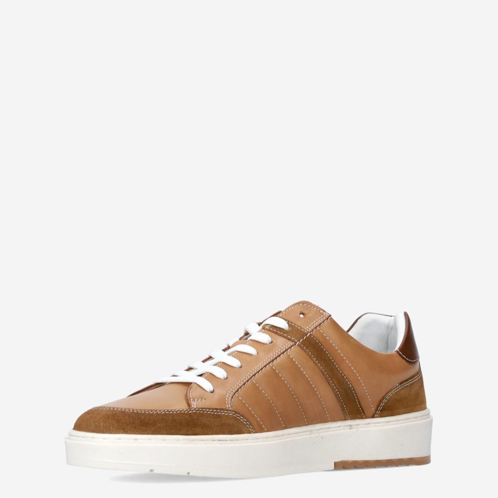 13018_Bull Boxer__Heren_135