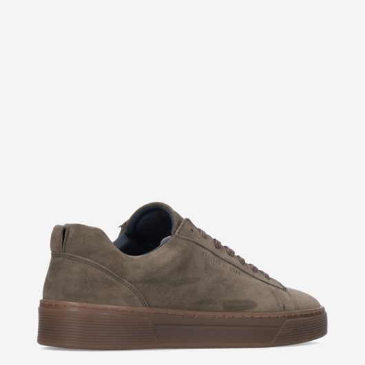 13296_Cycleur de Luxe___325
