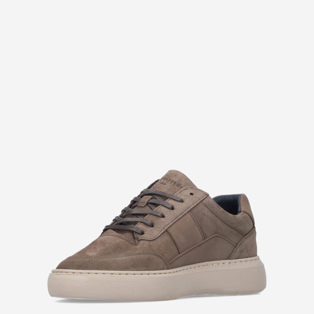 13306_Cycleur de Luxe___135
