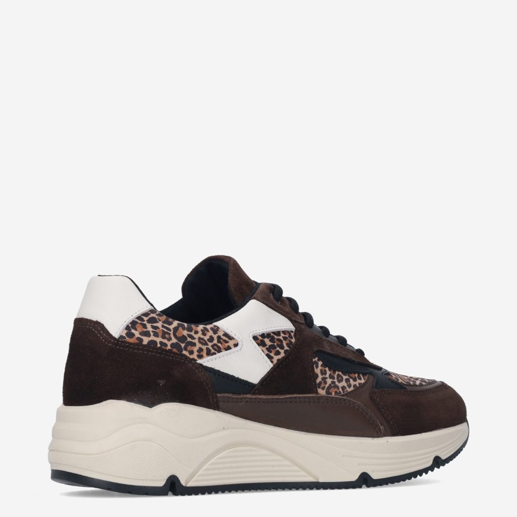 13744_Bridge Footwear___325