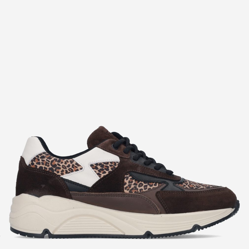 13744_Bridge Footwear___360
