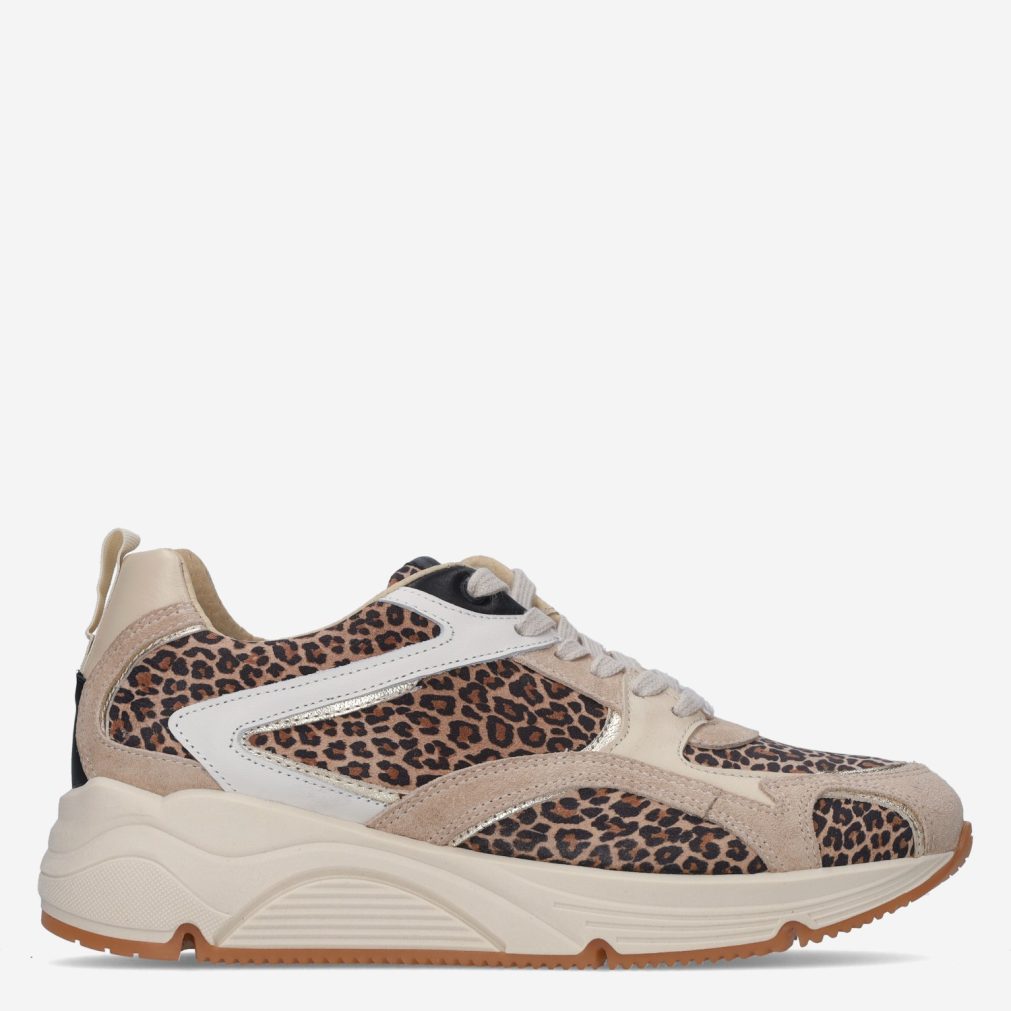 13745_Bridge Footwear___0