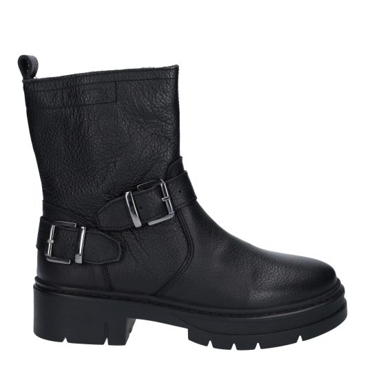 8677_Bull Boxer__Dames_360