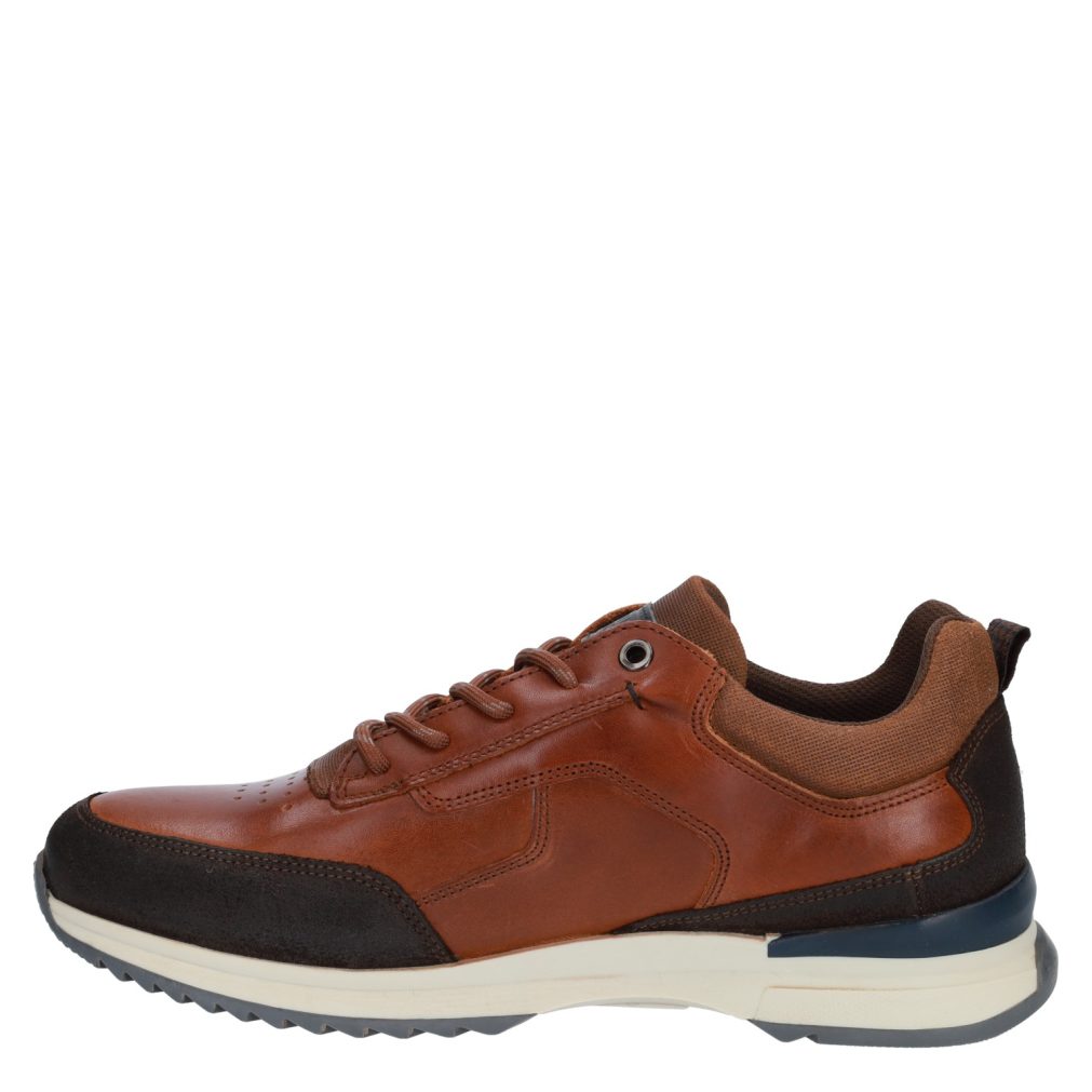 8685_Bull Boxer__Heren_180